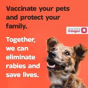 World Rabies Day Posters poster